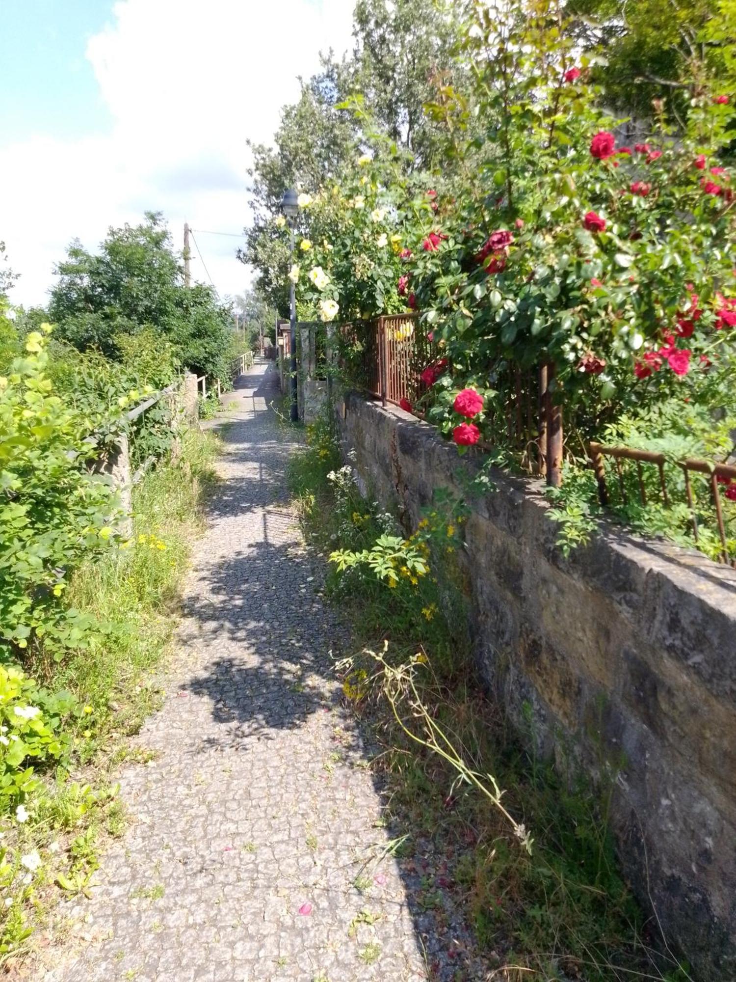 Dresden-Entspannung-Natur-Trifft-2-Staedte-Am-Fluss Buitenkant foto